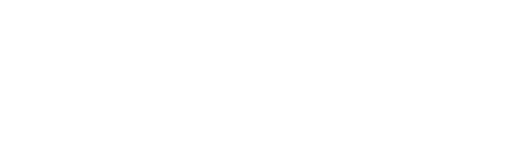 Coseguro Total